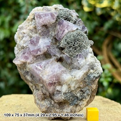 Seltener britischer Fluorit Kristall, Boltsburn Mine, Rookhope, County Durham, UK