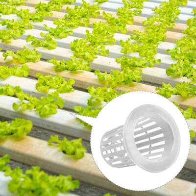 50 pièces panier de plantation hydroponique hydroponique filet tasse outlet conteneurs de jardin