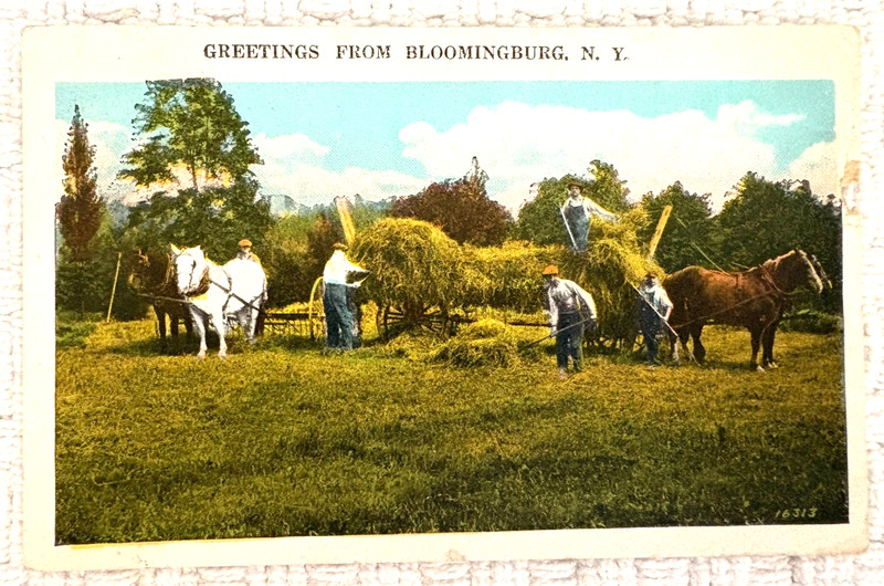 Greetings From Bloomingburg N. Y. New York Bordered Postcard
