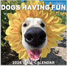 2026 Wall Calendar - JAN 2026 - DEC 2026, Funny Dog Calendar 2026, 12" x 24" Ope
