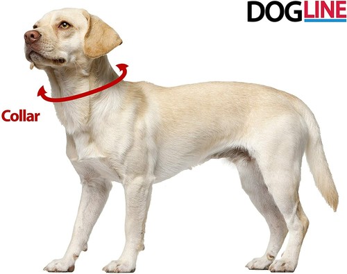 Collar de perro Dogline Biothane impermeable fuerte recubierto correas de nailon multi tamaño - Imagen 6 de 18