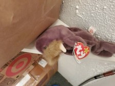Jolly The Walrus New Ty Beanie Baby