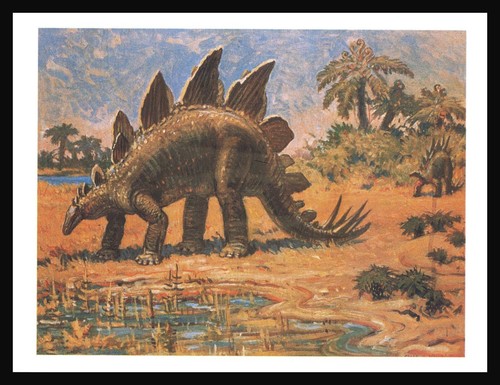 004.30PC - Dinosaur Postcard - Charles R Knight - Stegosaurus | eBay