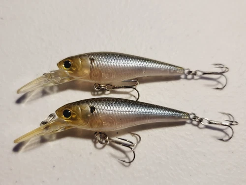2 Lucky Craft Bevy Shad SP Crankbaits 2"