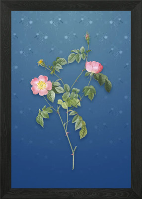 Rosa österreichische Kupfer Rose gerahmtes Wandbild Poster Leinwanddruck Bild