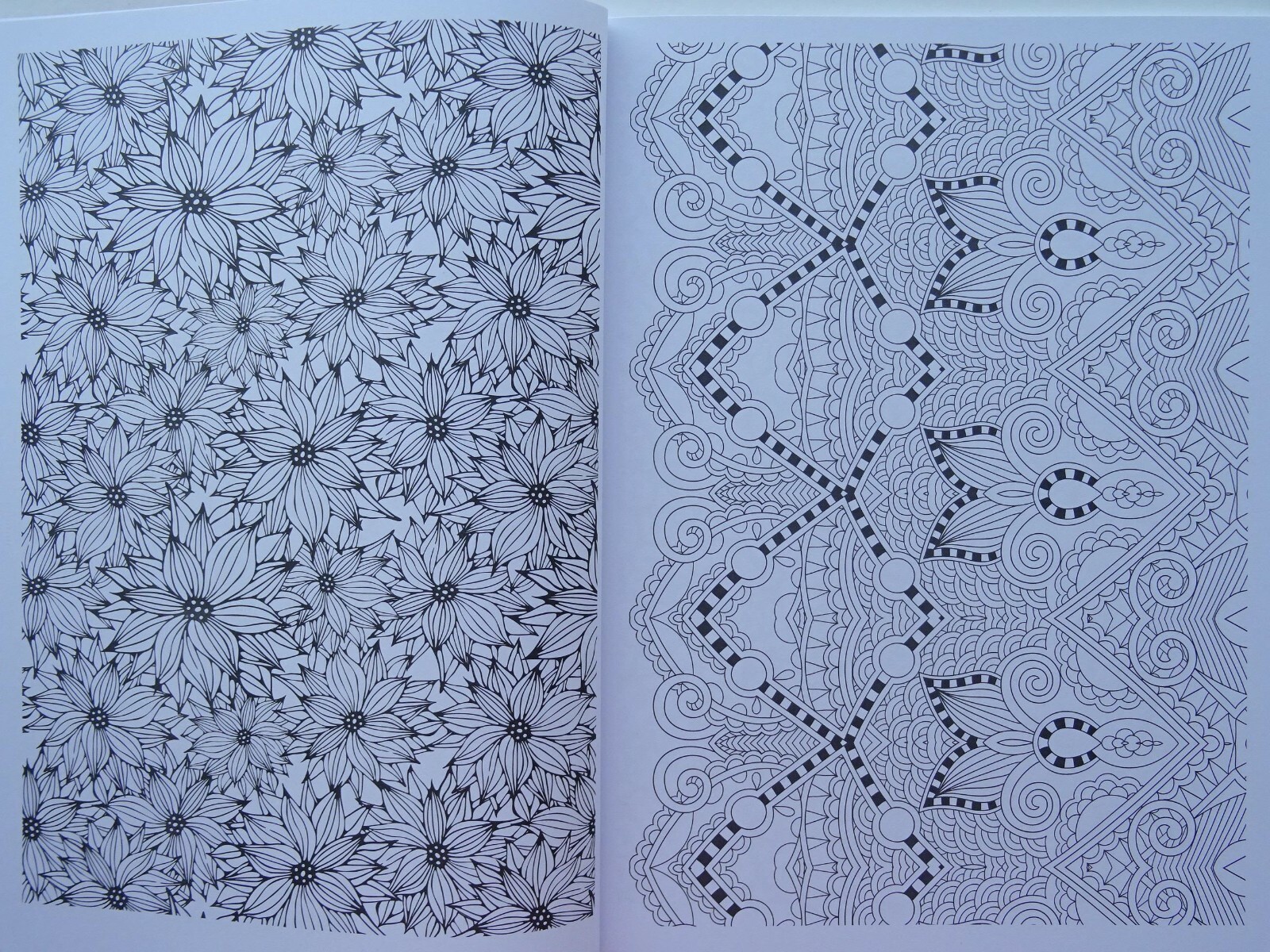 Picture 47 of 48