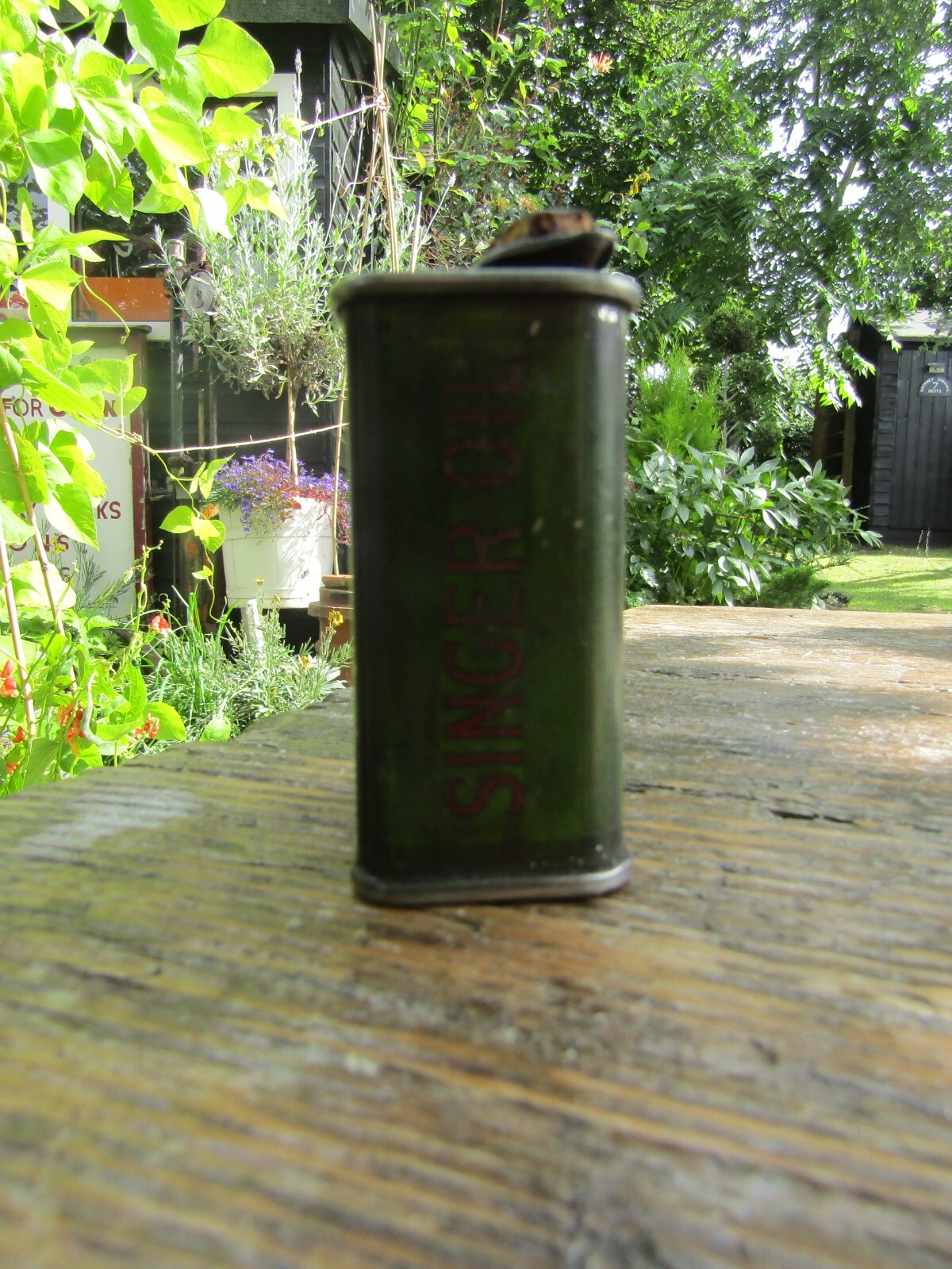 Picture 5 of 6