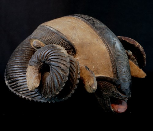 Art Africain - Superbe Masque Bélier Baoulé Baule - Impressive Ram Mask - 30 Cms - Photo 8 sur 11