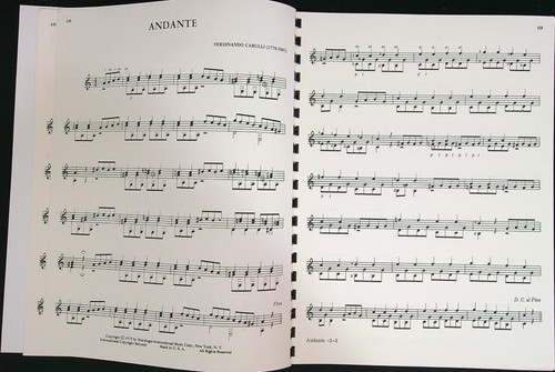 Klassische Gitarre Soli Buch 1 Gitarre Leicht Mittelstufe Noten Liederbuch 556a - Bild 5 von 15