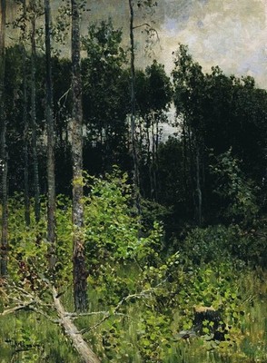 Isaac Levitan Aspen Spinny A Gray Day 1884 17''x 22'' Archival Art Print