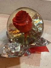 Enchanted red rose globe eternal real peserved flower sealed in water large 7in