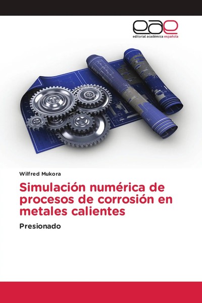 Wilfred Mukora | SimulacióN NuméRica De Procesos De CorrosióN En Metales...-image