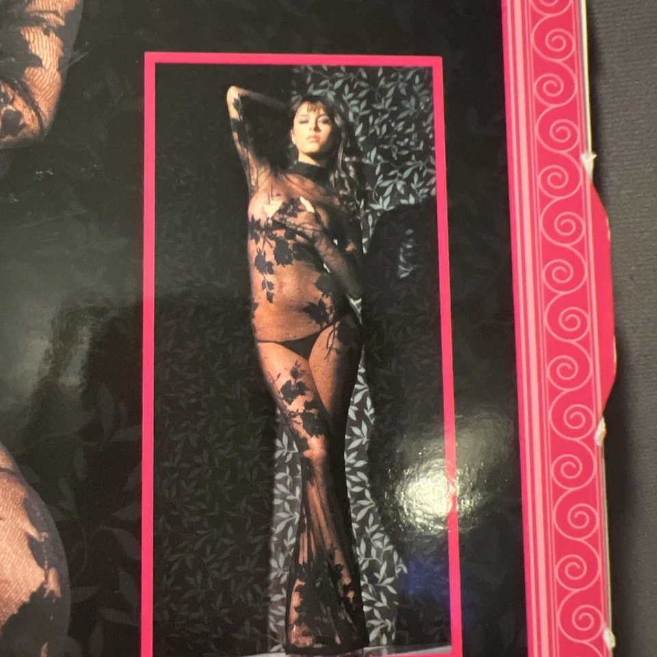 New In Box Fantasy Lingerie Long Sleeve Stretch Lace Gown  One Size Fits All - Image 3 of 4