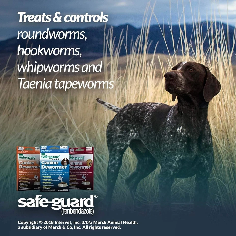 Desparasitante canino Safe-Guard para perros de hasta 10 libras (3 dosis) 1 gramo *CADUCIDAD 11/2025* Foto 2 de 4