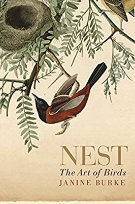 Nest : The Art of Birds Hardcover Janine Burke