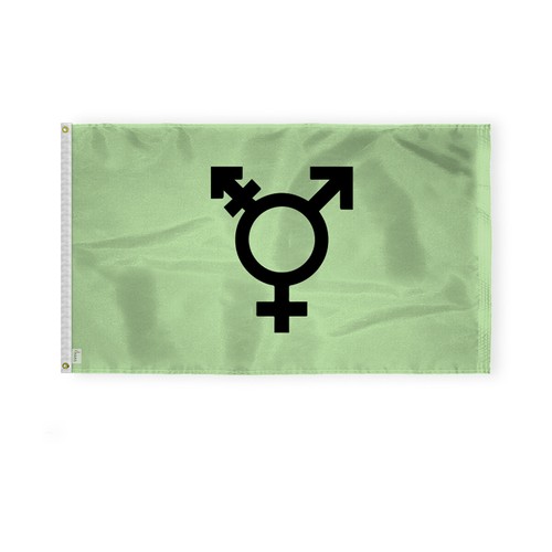Israel Trans Flag-Single Sided Printed-Brass Grommets- Fade Proof Colors - Picture 4 of 15