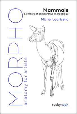 Morpho: Mammals: Elements Of Comparative Morphology