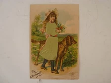 Old postcard Swiss fantasy embossed and silk (20191)