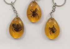 DEFECTED Spider Keychain Real Spider Pendant - 3 Pack