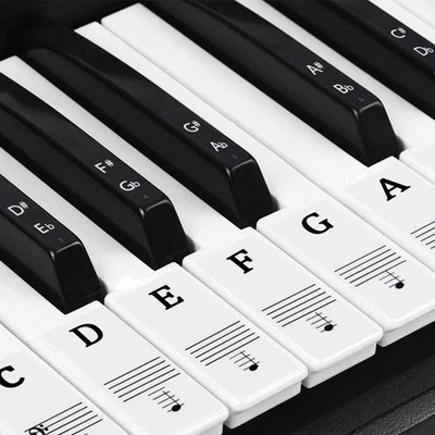 Klavier Aufkleber Transparent Entfernbar Noten Keyboard Piano Tasten 88 Stück - Bild 1 von 2