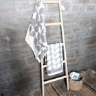 Foto 2 di 6