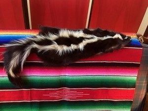 Skunk Skin Fur Large 35” inches