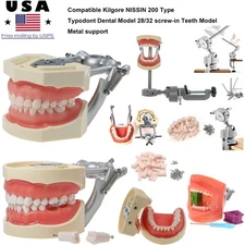 Kilgore NISSIN 200 Type 28/32 Teeth Model Simulation Cheek &Dental Mounting Pole