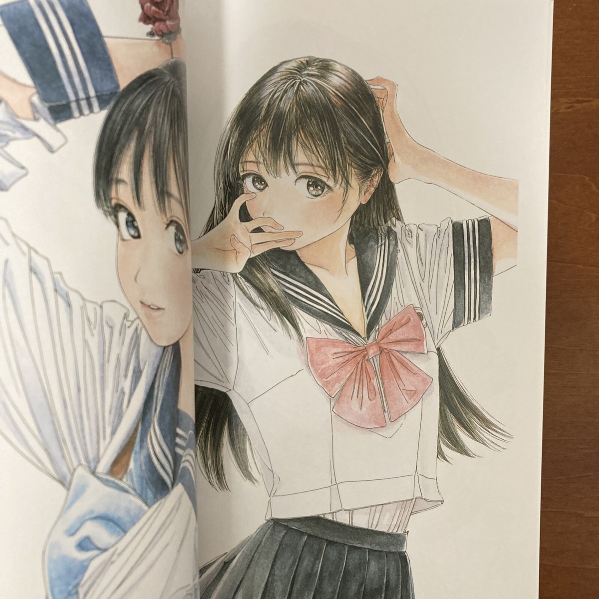 絵画 akebi Hiro Illustrations Footprints to AKEBI Art Book | eBay