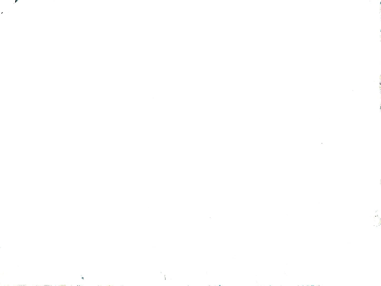 Canvas Craft Fabric Remnants