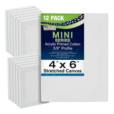 US Art Supply 4" x 6" Mini Professional Primed Stretched Canvas 12-Mini Canvases