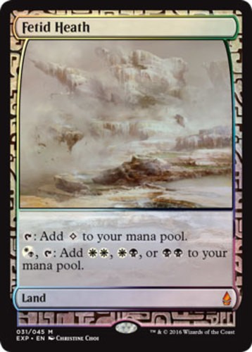 1x Fetid Heath - Foil Moderate Play MTG Magic - Kid Icarus -