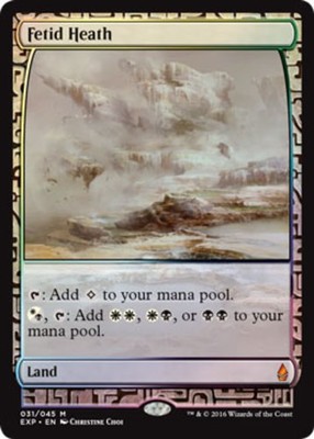 1x Fetid Heath - Foil Moderate Play MTG Magic - Kid Icarus -