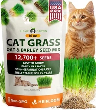 HOME GROWN Non GMO 1 Pound Cat Grass Seeds for & Kittens Oat & Multi 