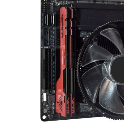 Patriot Viper Elite II 8G 16G 32GB DDR4 2666 3200 3600 4000 UDIMM