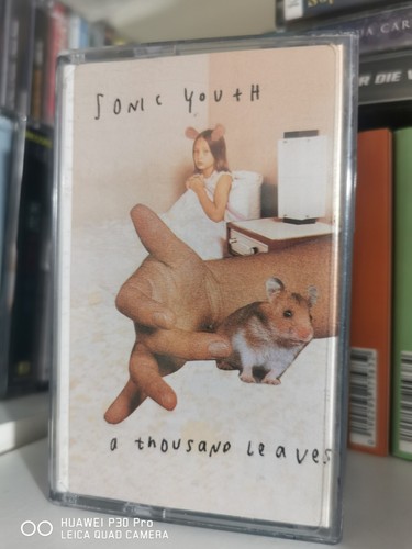 Sonic Youth A Thousand Leaves FULLY PLAY GRADED cassette album Original Release
