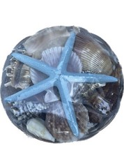 CARGA DE CARACOLES REDONDA PARA OLOKUN CESTA VARIADA OLOCUN SANTO IFA YORUBA 7"