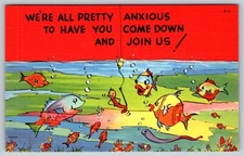 Vintage Postcard Underwater Scene of Fish Waiting for You Comic Humor Greetings