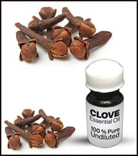 Clove Essential Oil 100 Pure Undiluted 10ML-500ML