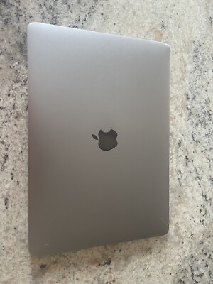 Apple MacBook Pro 13.3'' (256GB SSD, Intel Core i5 8th Gen., 2.40 GHz, 8GB)...