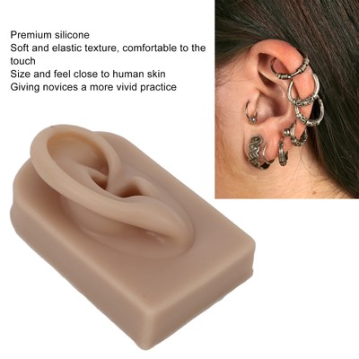 Silicone Ear Model Soft Flexible Right Ear Reusable Human Ear Model For Ear DON
