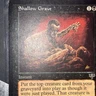 MTG Mirage Edition, Shallow Grave! 1996 Vintage Magic!