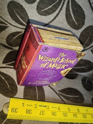 The Wizards School of Magic Volume 1 In The Begining Mini Maestro Books New Frog