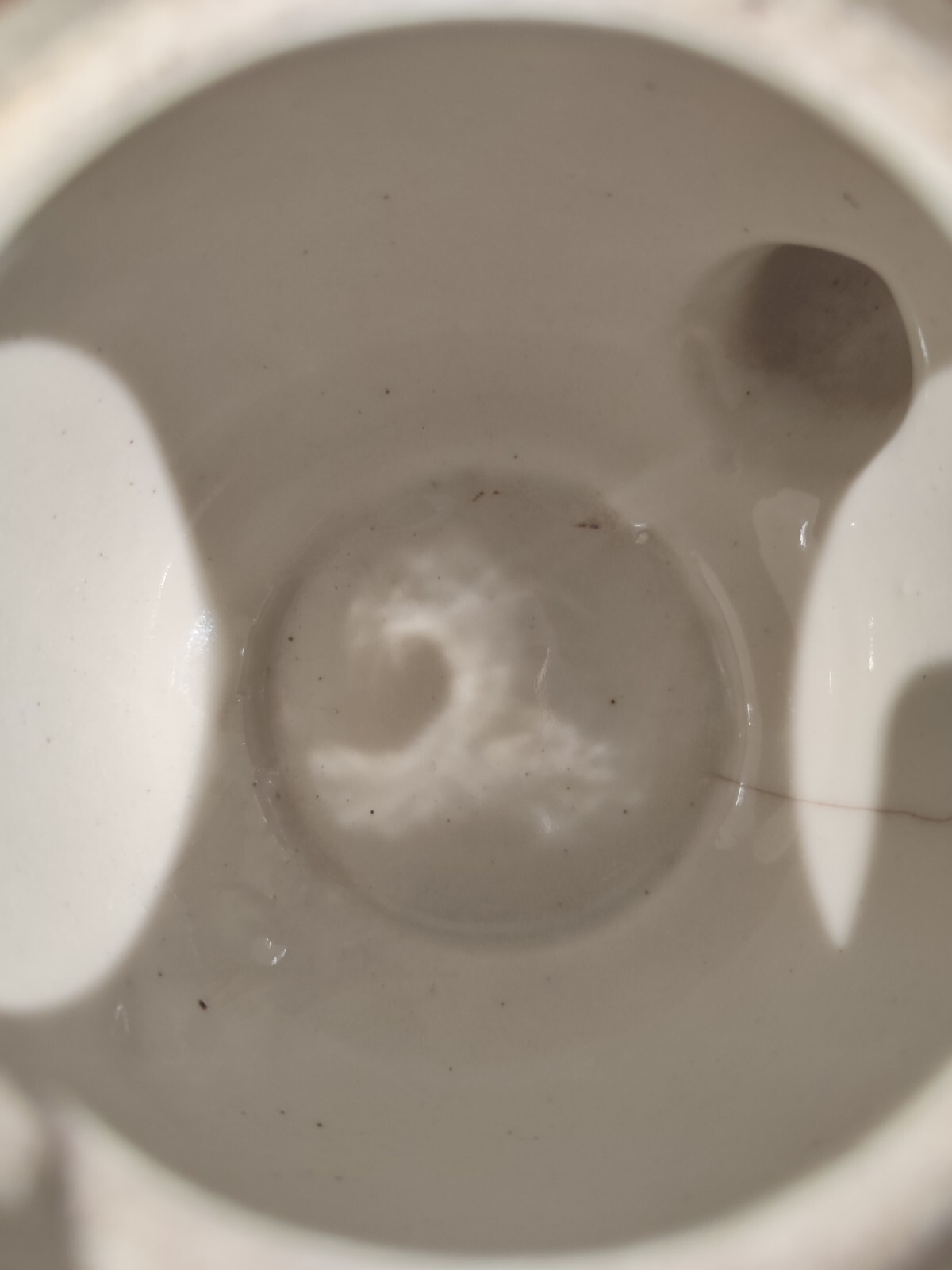 Picture 10 of 14