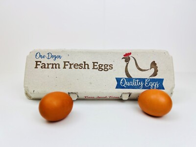 Printed Egg Carton (Chicken) - 100 units