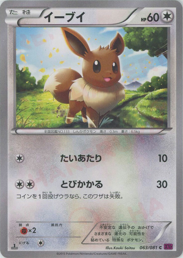 Near MINT - Pokemon Card Game TCG 1st Eevee XY7 Japanese | eBay