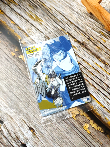 Tenya Iida - 1_04 - Tarjeta de plástico sellada My Hero Academia MHA - Bandai - Imagen 4 de 4