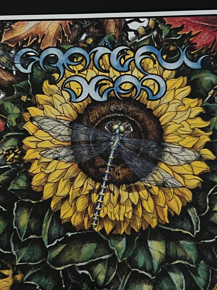 Grateful Dead Fall Tour 1995 Poster MINT Perfect Uncirculated