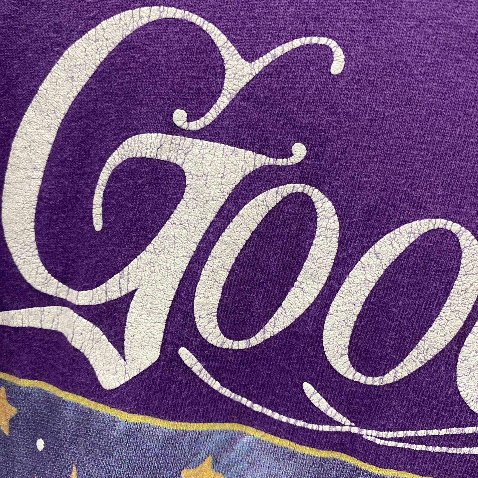 Vintage Women Good Night Alaska Purple Sleep Shirt One Size Fits Most