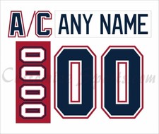 Saginaw Spirit Customized Number Kit For 2002-2009 Home Uniform