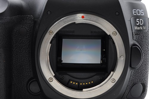 Near Mint Canon EOS 5D Mark IV 30.4MP DSLR Camera Body w/ Charger From Japan - Picture 12 of 24